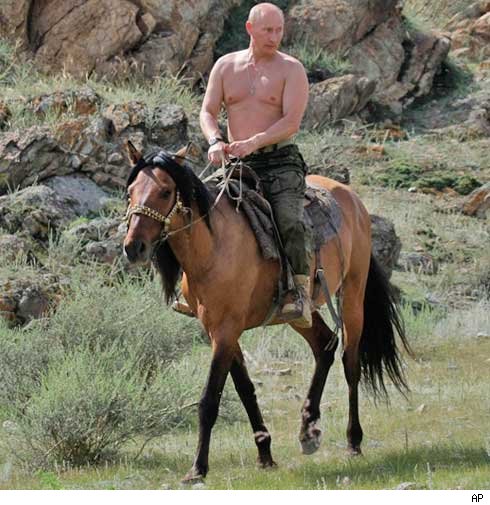 vladmirputinshirtlessonahorse