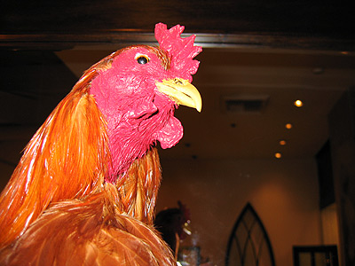 [Taxidermied chicken]